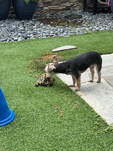 photo.jpg